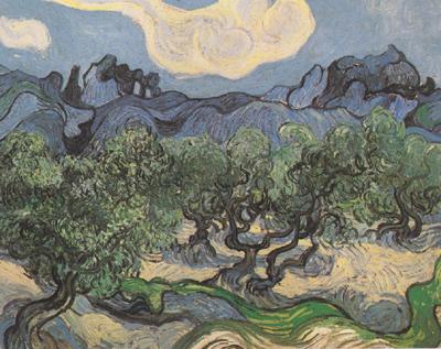 Vincent Van Gogh Olive Trees with the Alpilles in the Background (nn04)